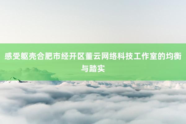 感受躯壳合肥市经开区董云网络科技工作室的均衡与踏实
